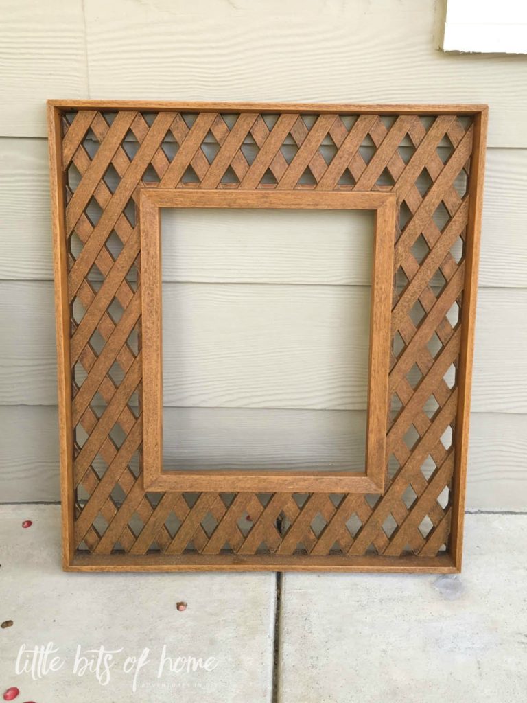 thrifted frame