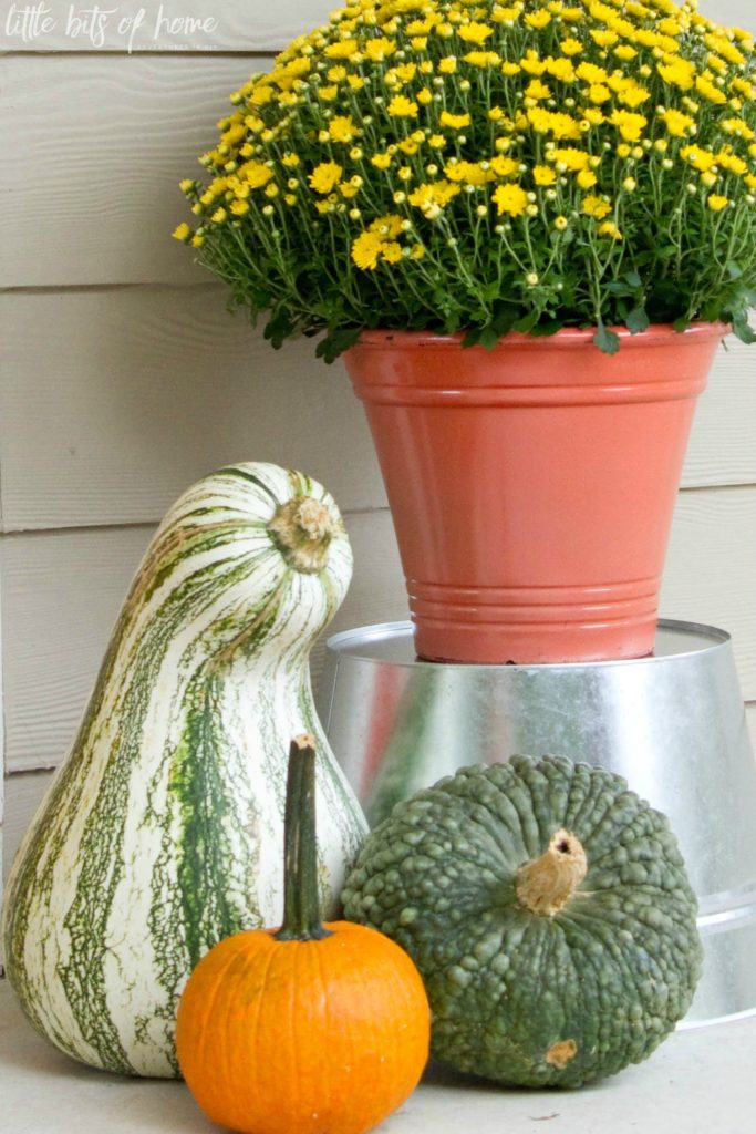 fall-gourds-and-mums