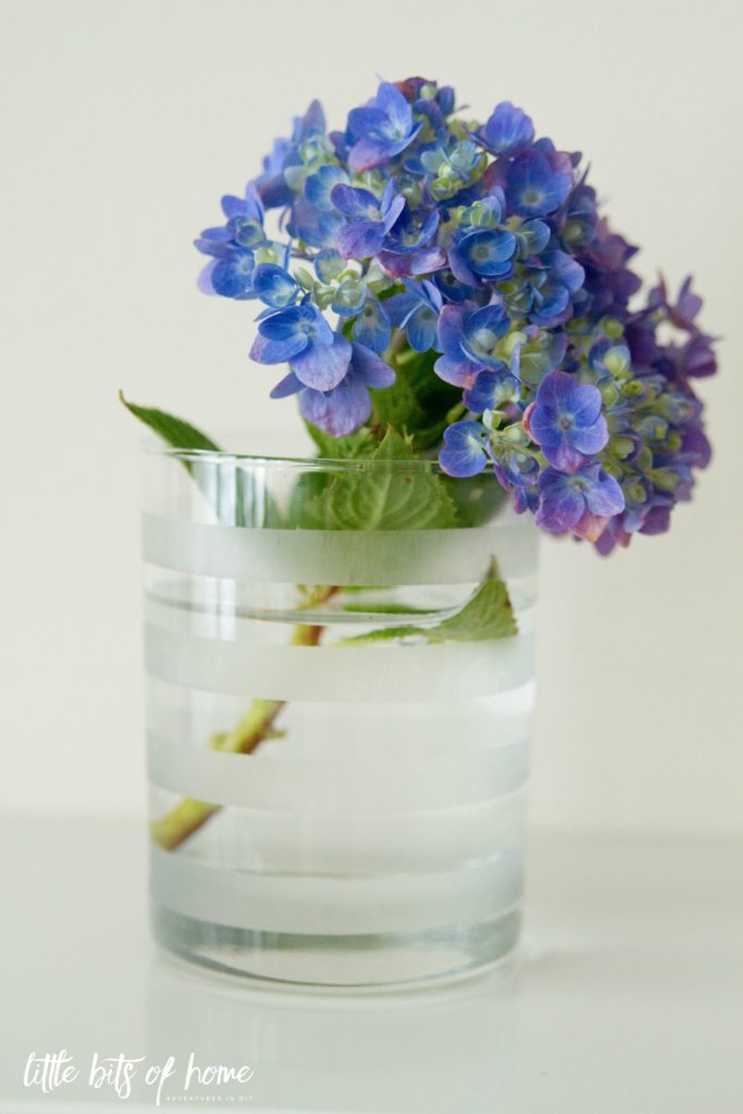 etched-glass-vase