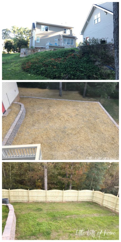 backyard-progress-collage