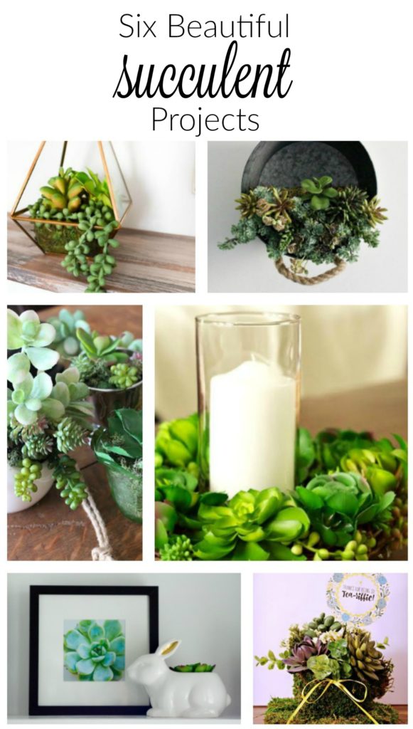 Other projects done for the create with me challenge using succulents and other decor